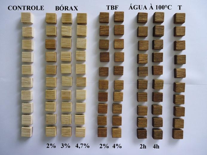 CONCLUSÕES E RECOMENDAÇÕES A solução de tetraborato de sódio decahidratado (Bórax) à 3% de concentração apresentou a melhor proteção das amostras de Dendrocalamus giganteus sendo classificada como