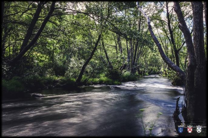 Figura 9 e 10: Rio Sabor (à esquerda) Rio Fervença (à direita) fotos de Guilherme Moutinho, UFSSMM, 2018 A União das Freguesias, também se encontra inserida na Rota Turística