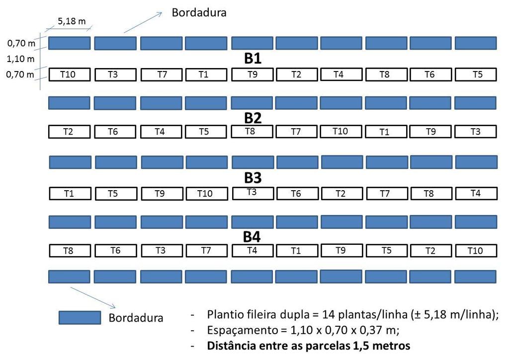 Estabelecimento das doses de nitrogênio e fósforo para máxima produtividade do híbrido de Horticultura Brasileira 31: S3064- S3070-. 1 2 3 4 5 Figura 1. Disposição dos tratamentos no campo.