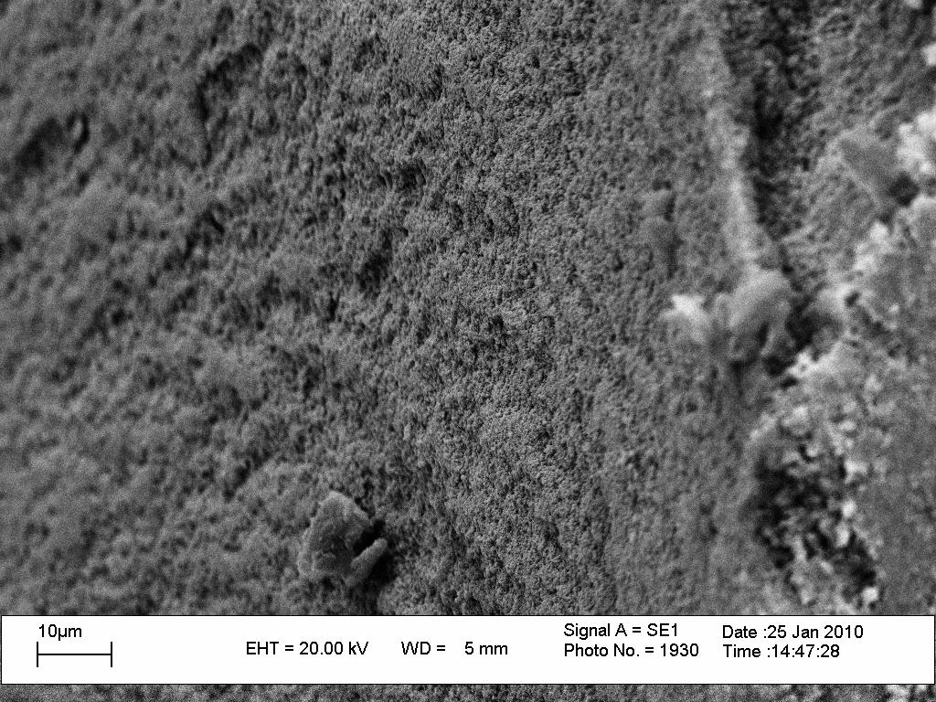78 Figura 30 - Micrografia de microscopia eletrônica de varredura da superfície interna do copolímero sem adição de ferro, aumento de 1000x