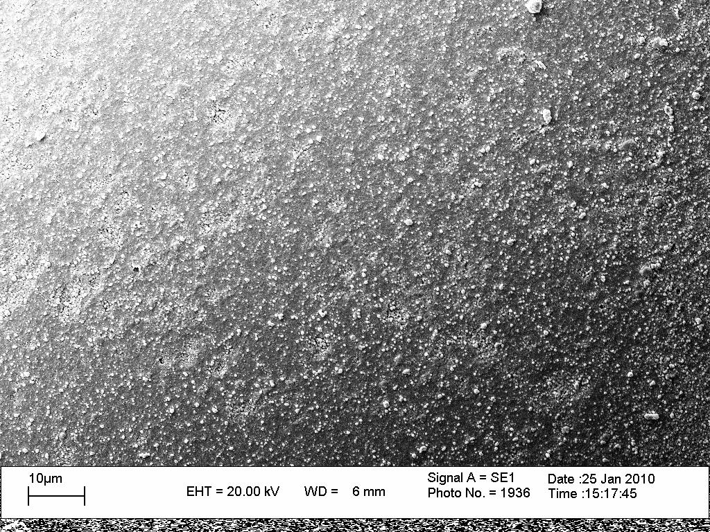 87 Figura 41 Micrografia de microscopia eletrônica de varredura da superfície externa do