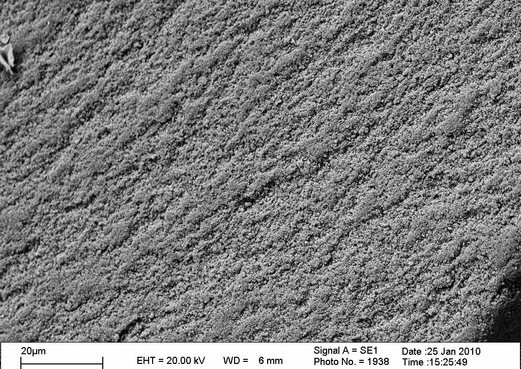 3000x Figura 42 - Micrografia de microscopia eletrônica de varredura da superfície