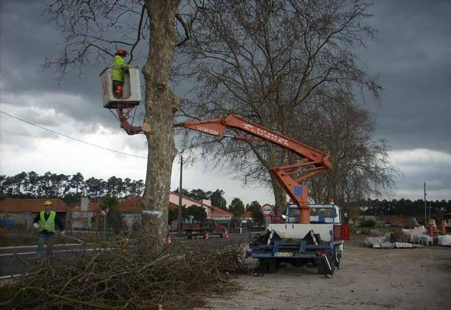 º 1913/2018) Intervencionar com ceifa e corte seletivo de modo a reduzir a carga combustível