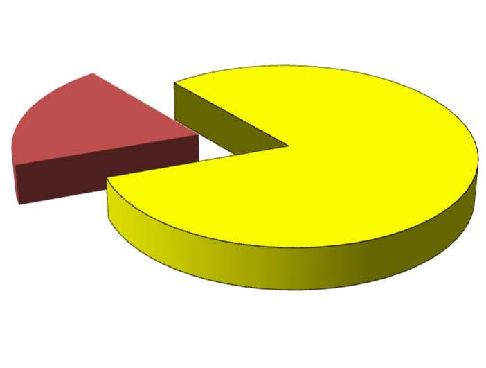 4.4 DISTRIBUIÇÃO DOS RECURSOS DISPONÍVEIS E IMOBILIZADO SEGMENTO VALOR APLICADO (em R$) Percentual sobre Patrimônio Líquido RPPS RECURSOS DISPONÍVEIS (Líquido) 190.110.