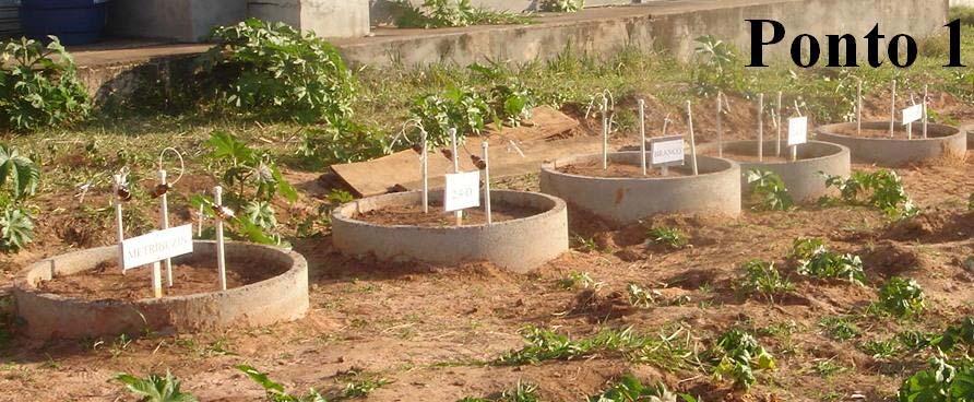 CAPÍTULO 3 O experimento de campo foi realizado em três repetições e um branco (sem aplicação dos herbicidas) para cada herbicida nas duas amostras de solo, com delineamento casual.