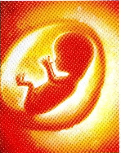 FISIOLOGIA O feto deglute 450 ml/dia de líquido amniótico no terceiro