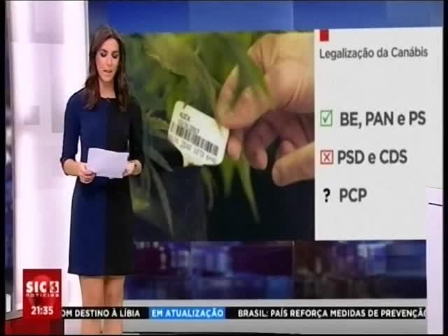 10-01-2018 21:34 Legalização da canábis para