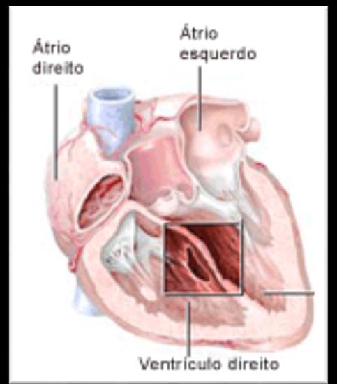 adquirido