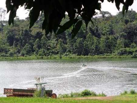 17 a biomassa e aplicada nova taxa de arraçoamento condizente com fase do desenvolvimento do peixe.