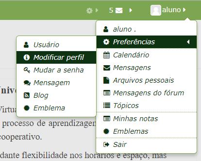 correções de atividades, publicação de mensagem no fórum, avisos e outros informações referentes ao andamento da disciplina. Para editar seu perfil, proceda da seguinte maneira: 1.