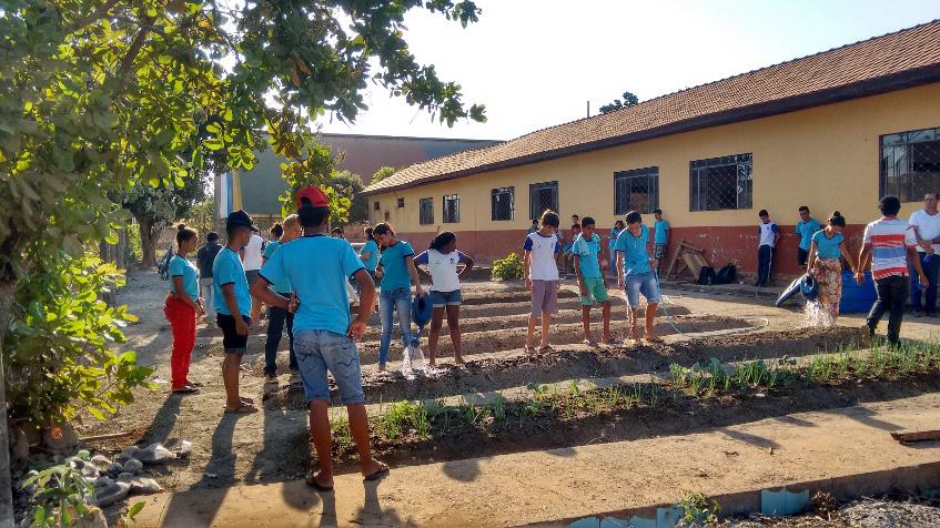 Figura 2: estudantes da escola realizando atividades na horta com auxílio dos acadêmicos da Universidade.