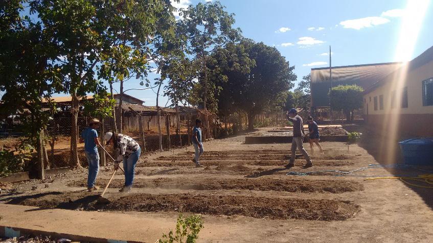 foi os poucos insumos oferecidos pela instituição para fazer o manejo; desde ferramentas até Material para produzir caldas e biofertilizantes, com isso foi necessário se esforçar e inovar no manejo,