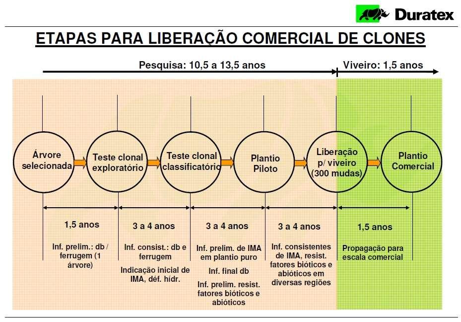 Exemplo de atividades e tempo para a