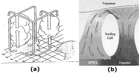 3 Figura 2 - Diagrama esquemático da Circulação de Hadley-Walker sobre a América do Sul Tropical e o setor do Atlântico Sul Tropical.