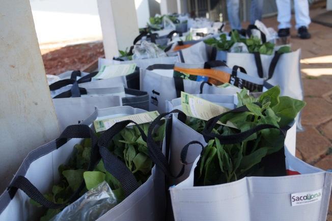 4 Figura 1 Sacolas entregues na Universidade Estadual de Ponta Grossa. Fonte: Laboratório de mecanização agrícola, 2018.