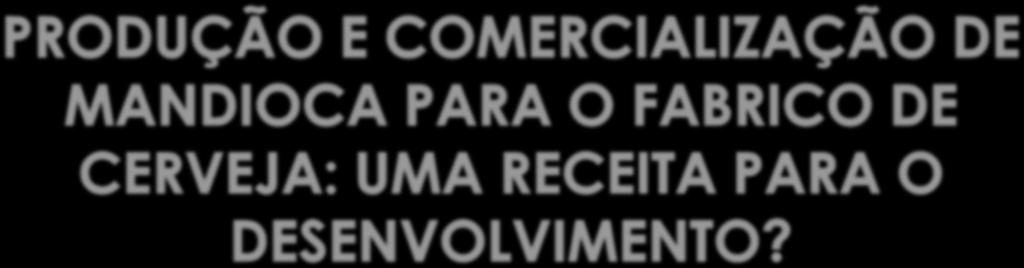 Momade Ibraimo Conferência sobre Políticas