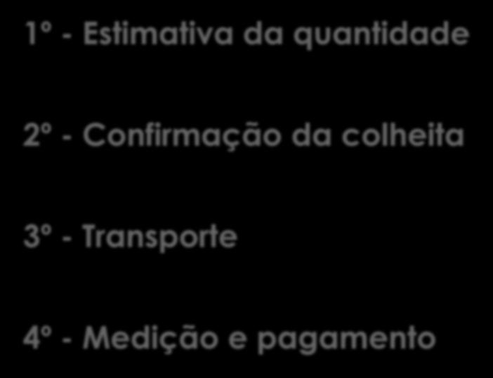 O processo de comercialização 1º - Estimativa da quantidade 2º -