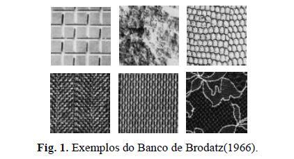 1 Introdução Analisar imagens em meio digital é de fundamental importância para diversas áreas de conhecimento.