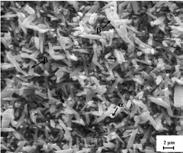 15 Figura 1 Difratogramas de raios-x das cerâmicas: (a) Y 2, (b) CTR 2, (c) CeO 2. 3.