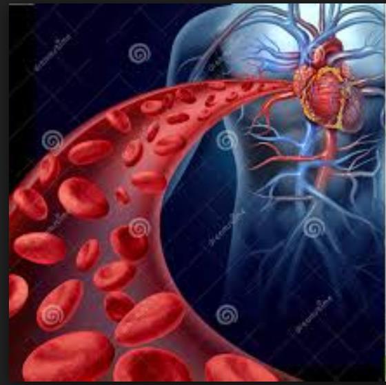 C Sistema Hematopoiético Tal como os outros sistemas corporais, o sistema hematopoiético não está totalmente desenvolvido ao nascimento.