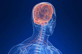 O cérebro necessita de um suprimento constante de glicose como fonte de energia e de um nível relativamente alto de oxigênio para manter um