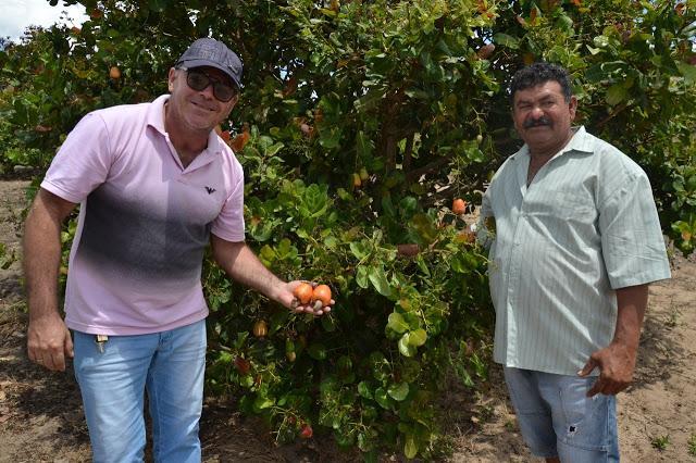 Em Casinhas-PE, representantes do governo de Macaparana visitam área produtiva do caju anão precoce O secretário André Ferreira durante a visita técnica na propriedade do produtor rural Dé Tinel