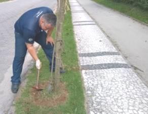 Esse serviço foi realizado com auxílio de uma escavadeira hidráulica e acompanhado pelo setor de Meio Ambiente e pela Sobloco. Foi encaminhado relatório do serviço para a Justiça Federal.