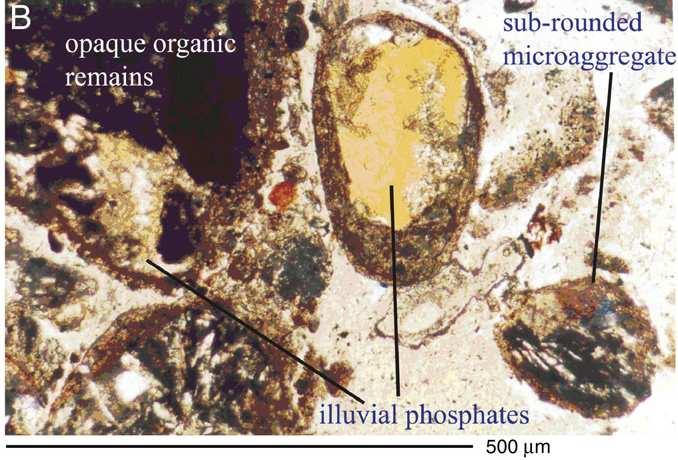 Fonte: Spera et al.