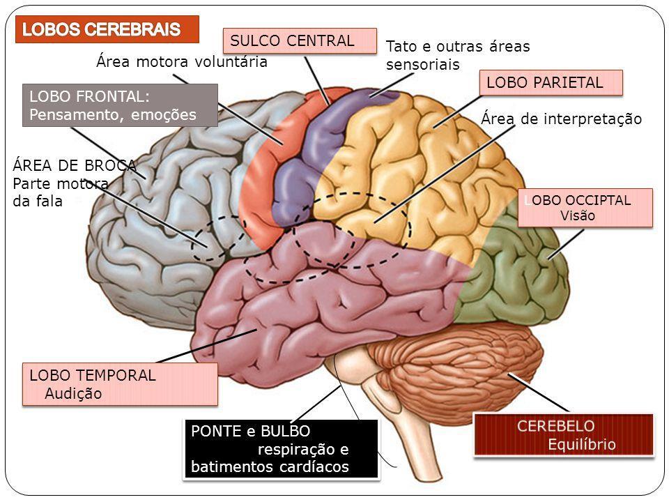 Psicofarmacologia