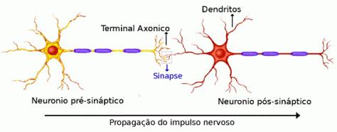 Psicofarmacologia