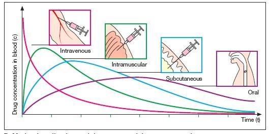 Psicofarmacologia & Farmacocinética Biodisponibilidade Quantidade de droga