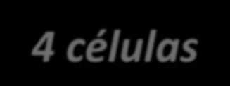 ? 1-3 dias- 2 Células 2-3 dias - 4 células 3-5
