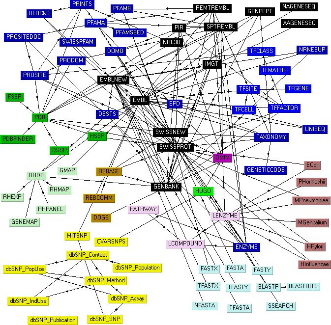 A complexidade das relações biológicas Repositórios de seqüências