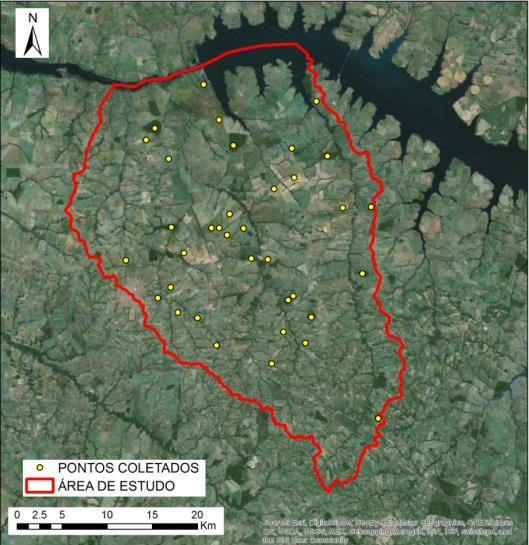 Figura 1. Polígono da área de estudo e os 36 pontos coletados.