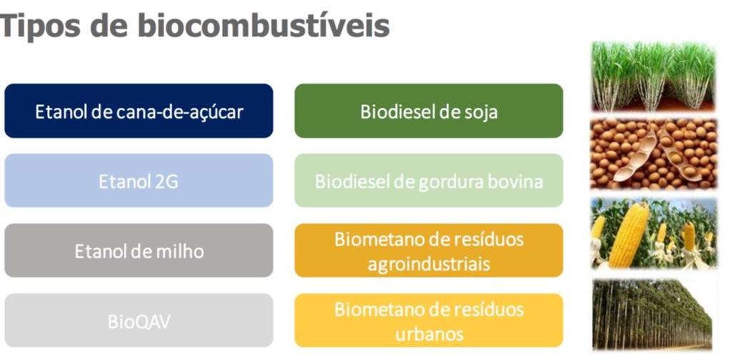 RenovaBio RENOVABIO