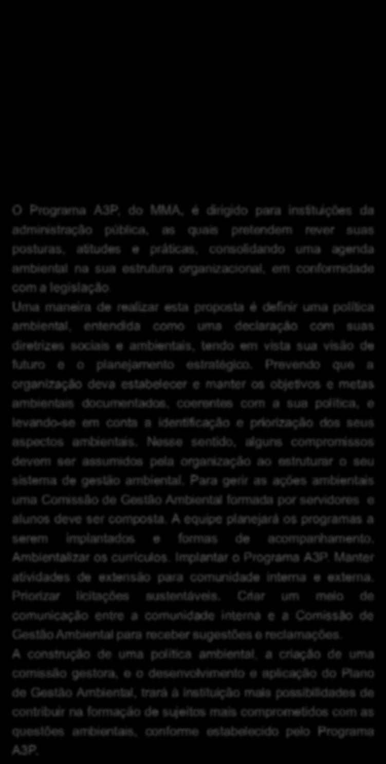 Uma maneira de realizar esta proposta é definir uma política ambiental, entendida como uma declaração com suas diretrizes sociais e ambientais, tendo em vista sua visão de futuro e o planejamento