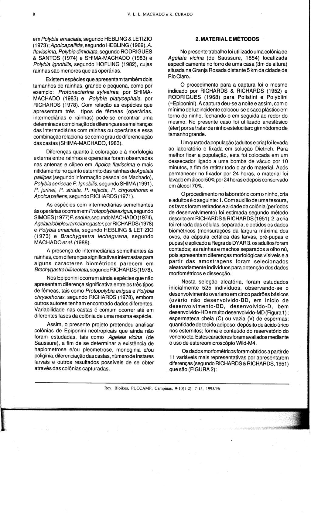 8 V. L. L. MACHADO e K. CURADO em Po/ybia emaciata segundo HEBLlNG&LETIZIO (1973); Apoicapallida segundo HEBLlNG(1969) A.