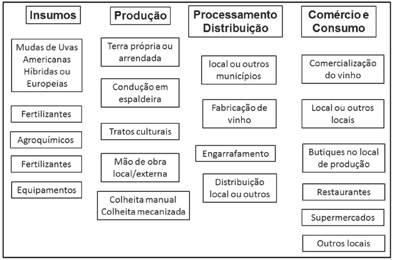 Figura 3. Fluxograma representativo da cadeia da vitivinicultura da Campanha Gaúcha. Elaborado pelo autor deste livro.