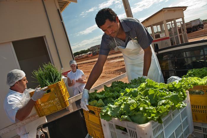 Responsabilidade socioambiental A EMPRESA ou GRUPO EMPRESARIAL