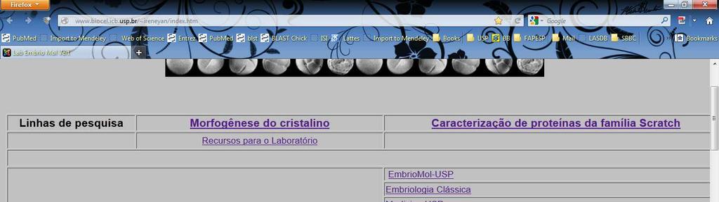 Setembro Outubro Data Tópico/Objetivo 18 Gastrulação 20 Discussão periódicos 25 Eixo DV 27 Discussão periódicos 2 Neurulação; Definição do campo neural 4 Discussão periódicos 9 Desenvolvimento do