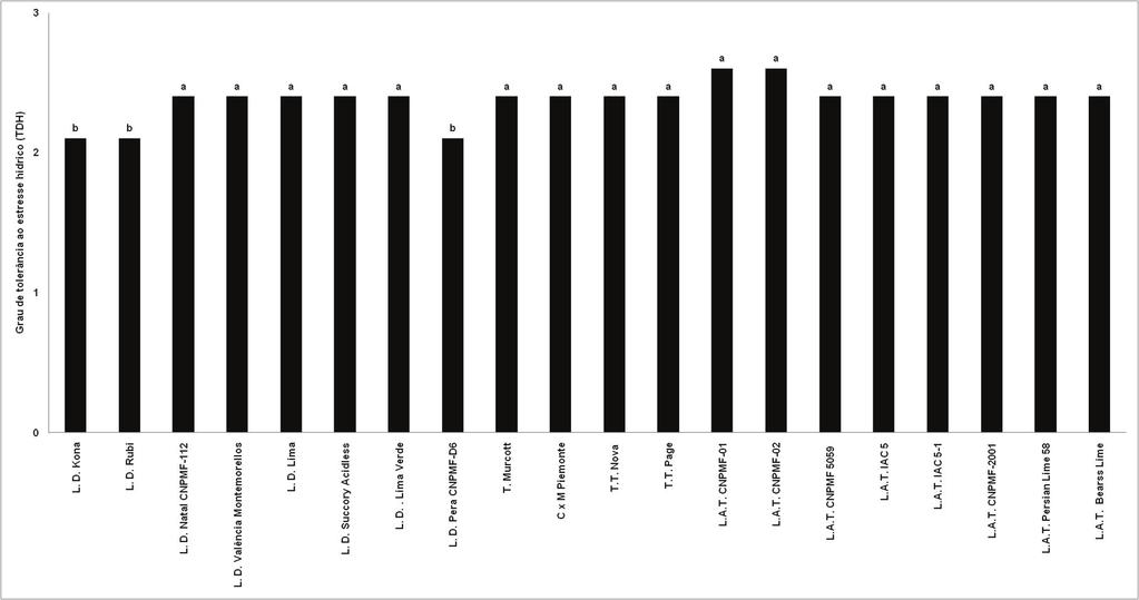 3 O porta-enxerto utilizado foi o limoeiro Cravo, o mais difundido entre os produtores dos Tabuleiros Costeiros.