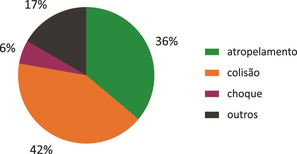 Diagnóstico da Subprefeitura de Parelheiros 2015 a 2017 Tipos de ocorrências fatais na