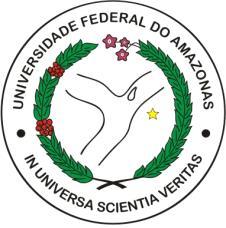 Universidade Federal do Amazonas Pró-Reitoria de Pesquisa e Pós-Graduação Programa de Pós-Graduação em Química - PPGQ AVALIAÇÃO AMBIENTAL DE