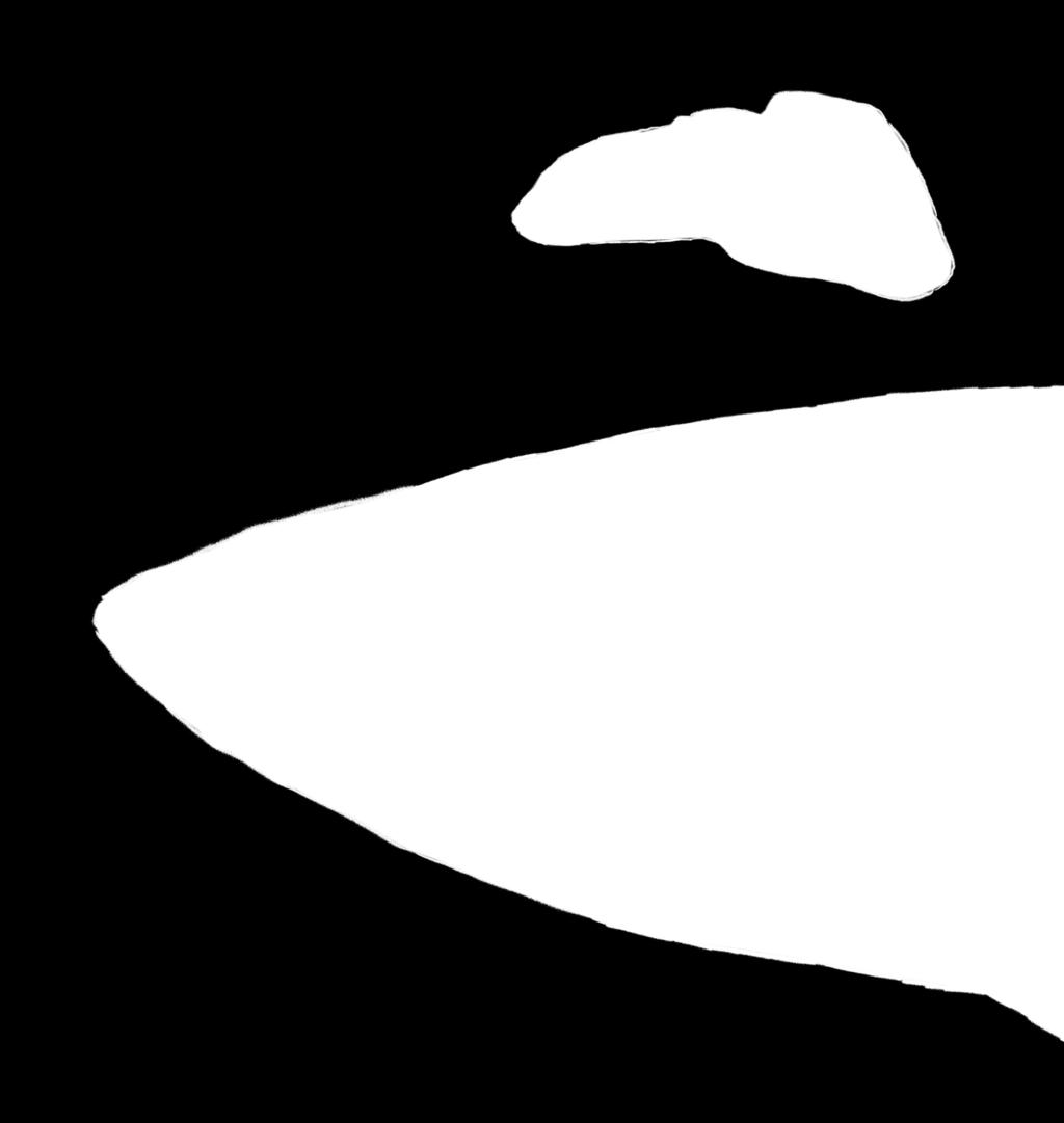 Cada peixe possui três pares de otólitos com forma, tamanho e nomes diferentes, sendo únicos para cada espécie.