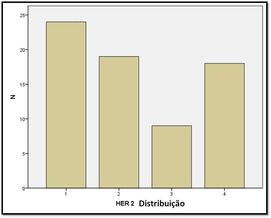 26 A distribuição da imunomarcação de c-erbb2 foi mais observada no escore um (n=24; 34,3%), o qual marcou até 25% das células neoplásicas.