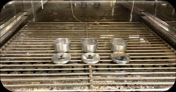 Após a pesagem das amostras, as mesmas foram levadas para estufa (figura 08) com temperatura pré-aquecida de 105 C a 110 C até seu ponto de secagem.