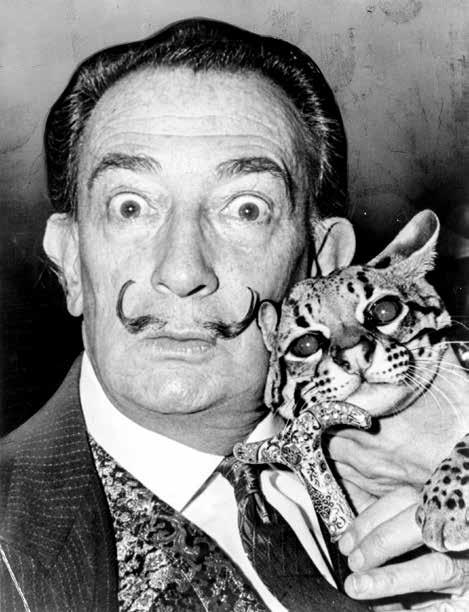 Figura 16.2: Salvador Dalí Fonte: https://commons.
