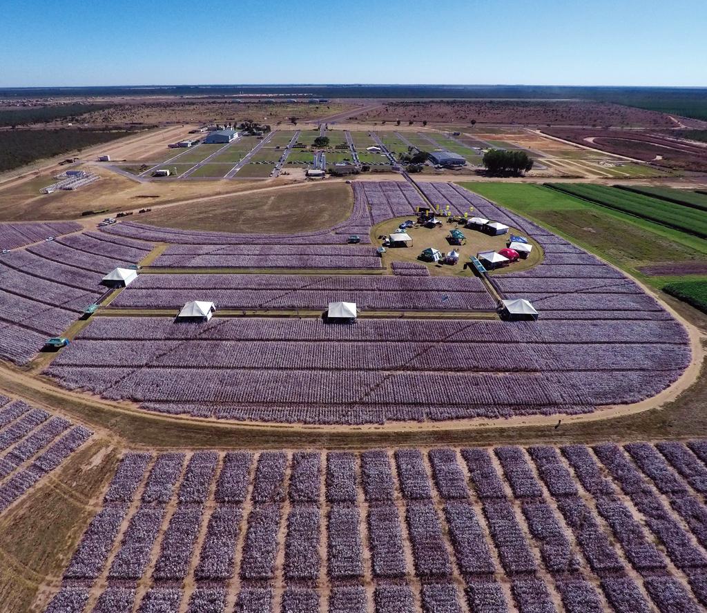 sindicatos e com o incentivo financeiro dos parceiros IBA, Fundeagro,