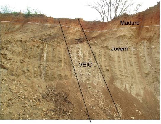 Segundo Marques, (1998) o município do Rio de Janeiro está situado em área de ocorrência de rochas gnáissicas, graníticas, intrusivas metamorfisadas, de idade pré cambriana, cortadas por granitos