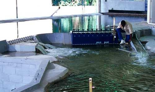 Paraíba do Sul: régua limnimétrica